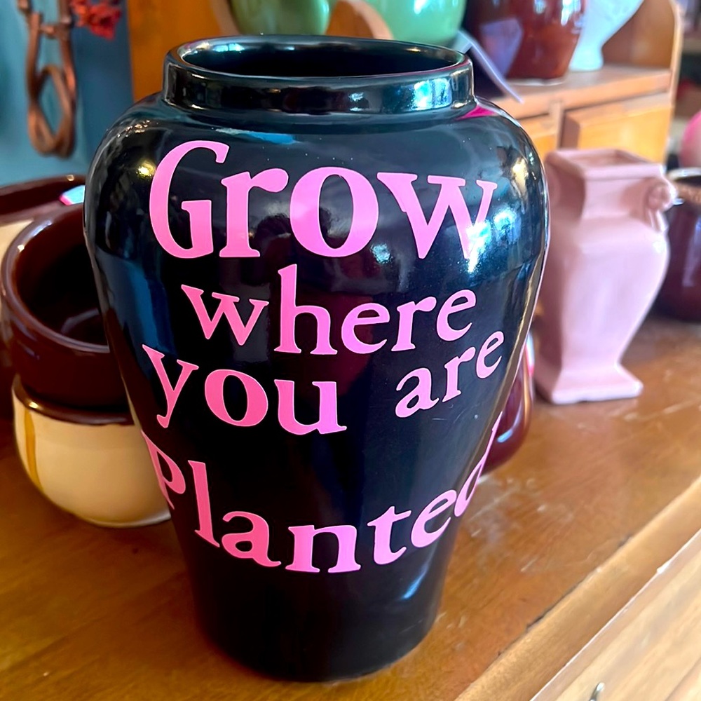 Unghamal black pottery vase. Pink grow where you are planted